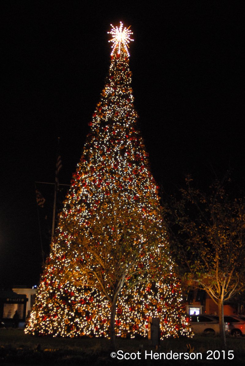 Annapolis Towne Centre’s Tree Lighting Photo Gallery What's Up? Media