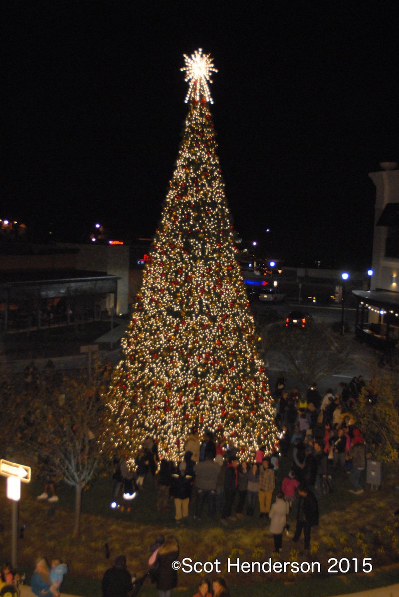 Annapolis Towne Centre’s Tree Lighting Photo Gallery What's Up? Media