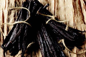Vanilla beans that have been dried cured and conditioned