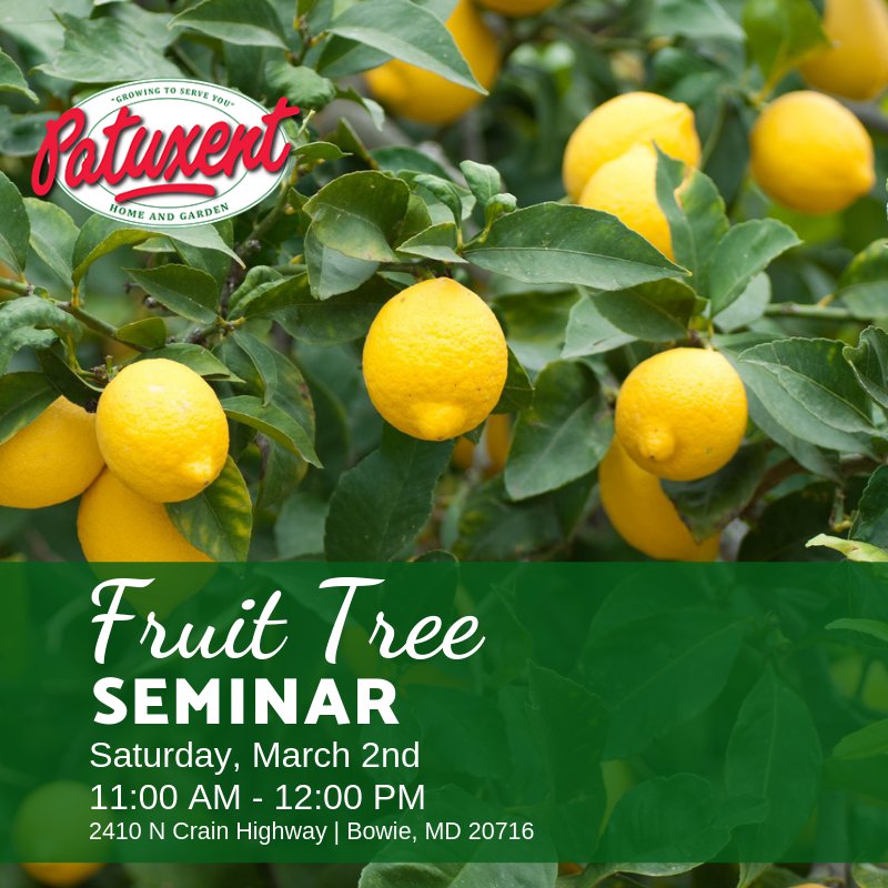 FruitTree_Seminar.png