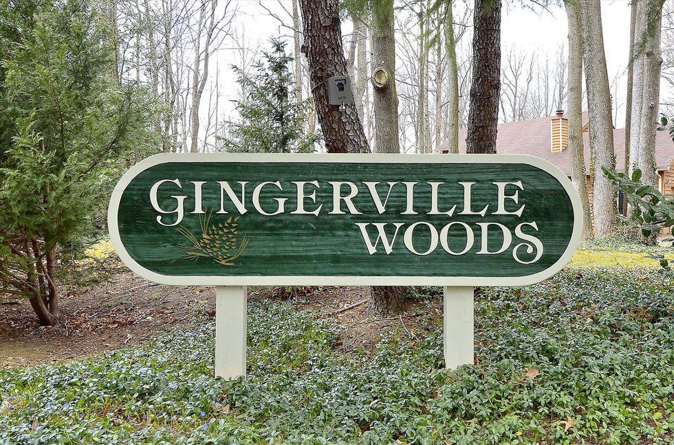 Amenity-Gingerville Woods Entrance-_DSC8754.JPG