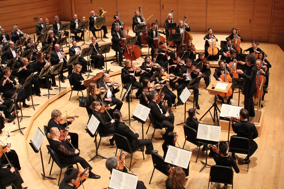 Annapolis Symphony Orchestra 3.jpg