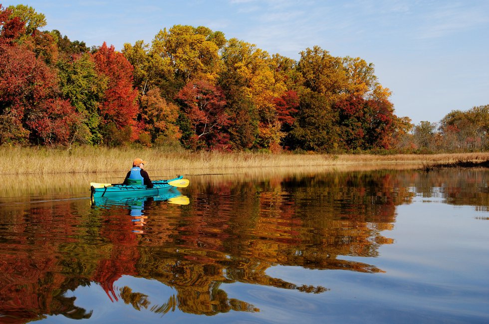 Fall Colors, Morgan Creek Sultana Paddle CREDIT CHRIS CERINO.jpg