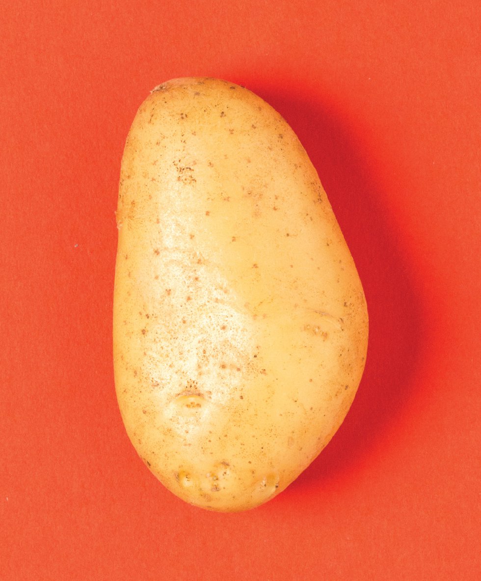 potato2.jpg