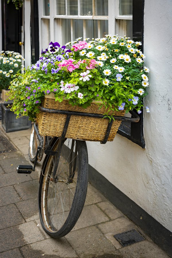 flower-basket.jpg