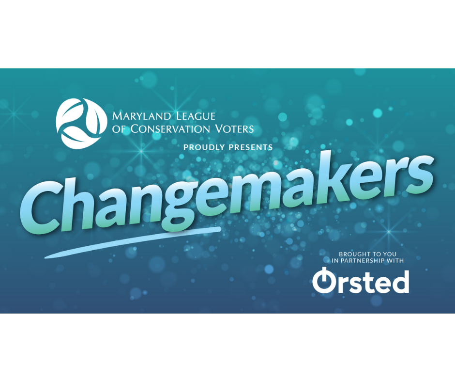 Copy of webpage slider Changemakers 2021