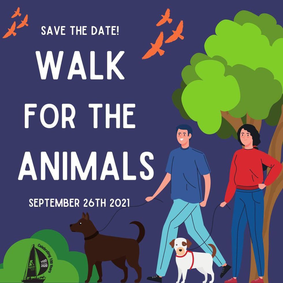 walk for the animals flyer.jpg
