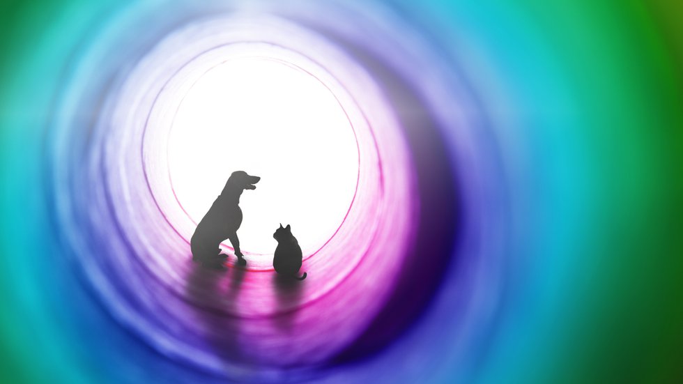 Pet Loss Facebook Event Cover