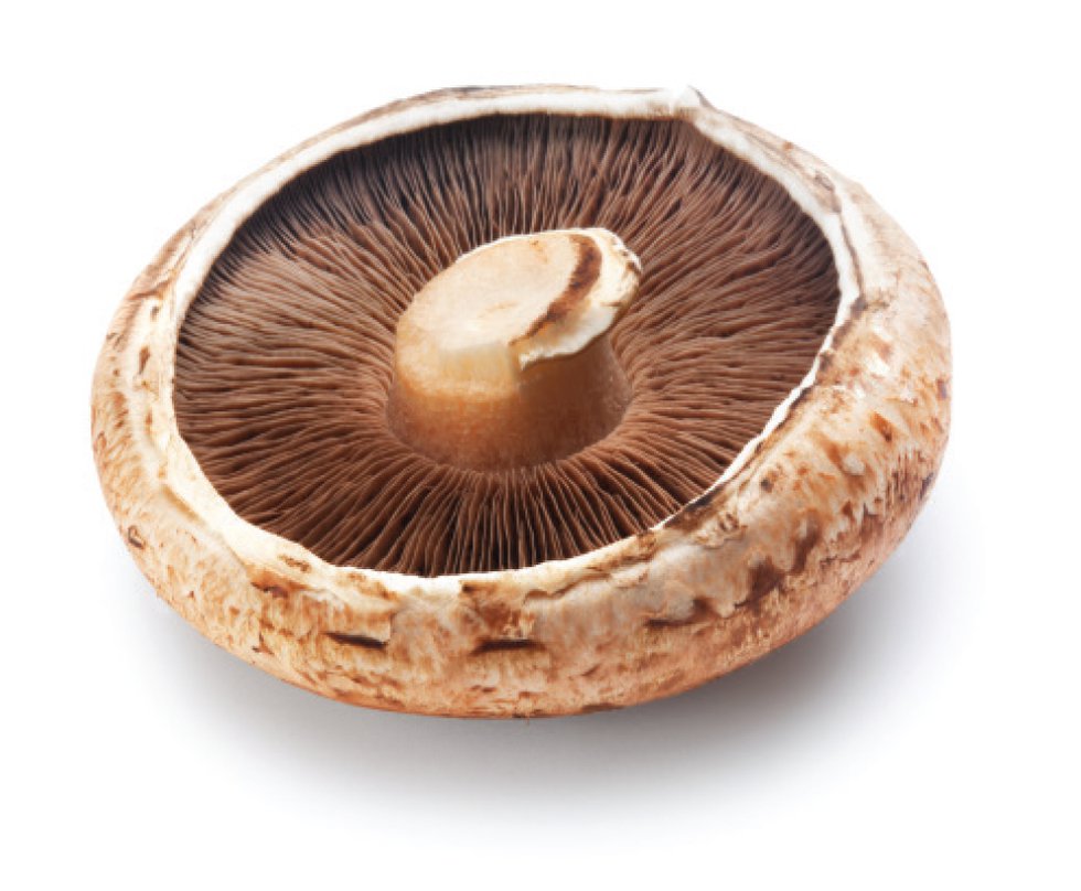 freshtake-mushrooms3.jpg