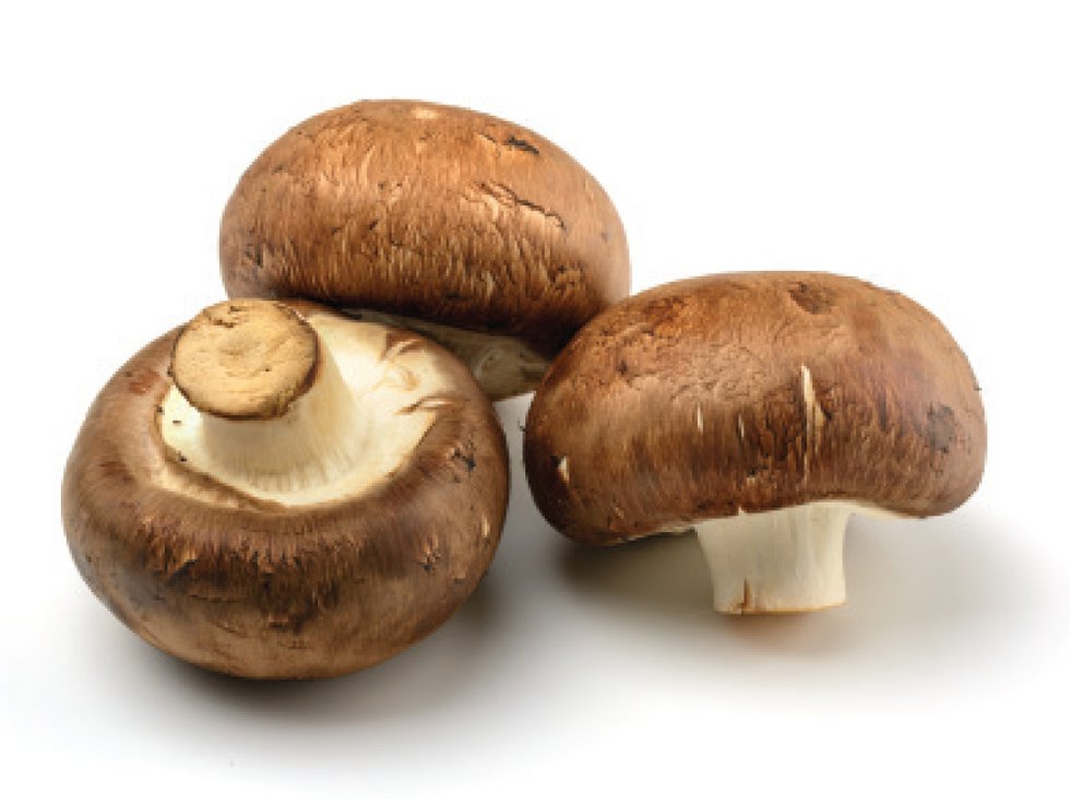 freshtake-mushrooms4.jpg