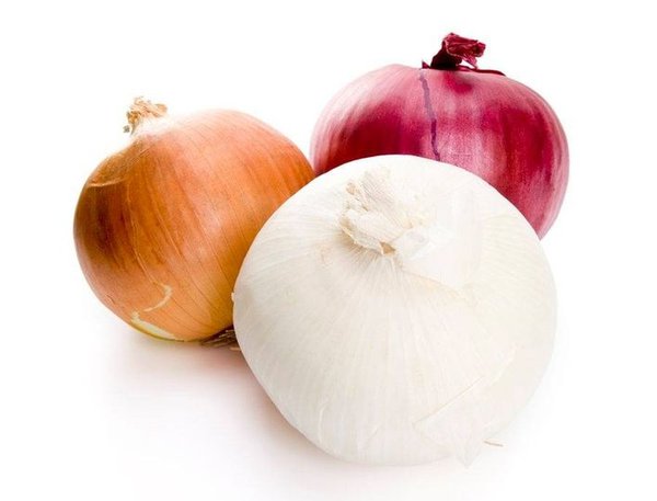 onions.png