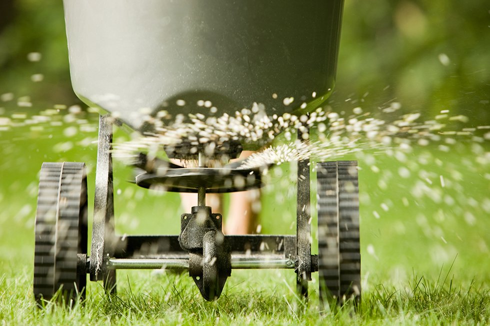 lawn-fertilizer.jpg