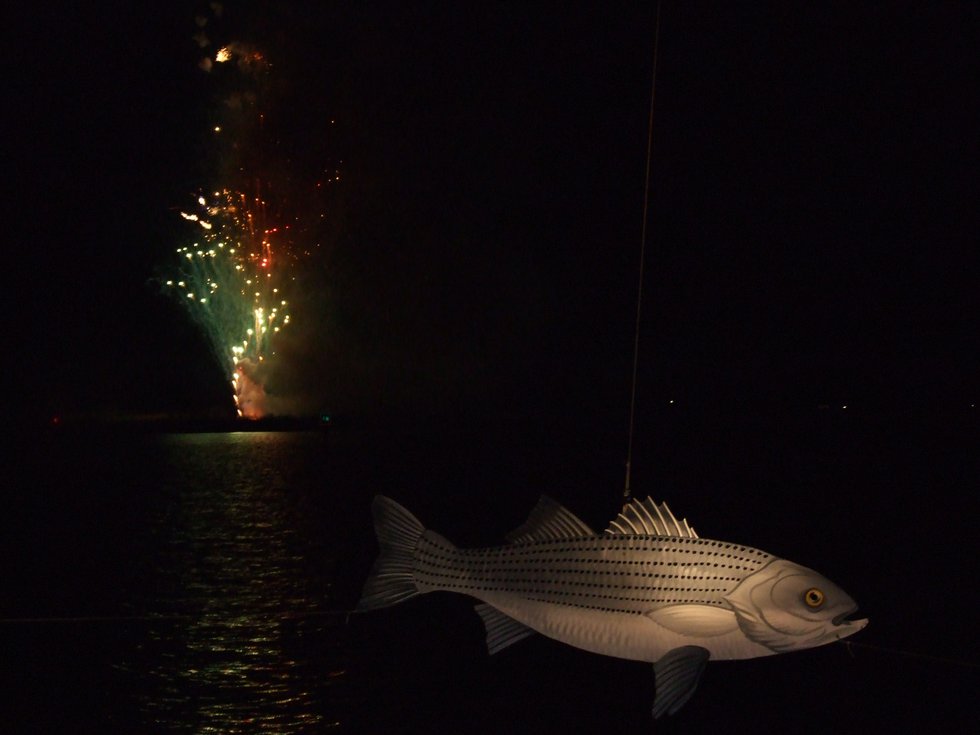 New Year's Rock Fish Drop.jpg