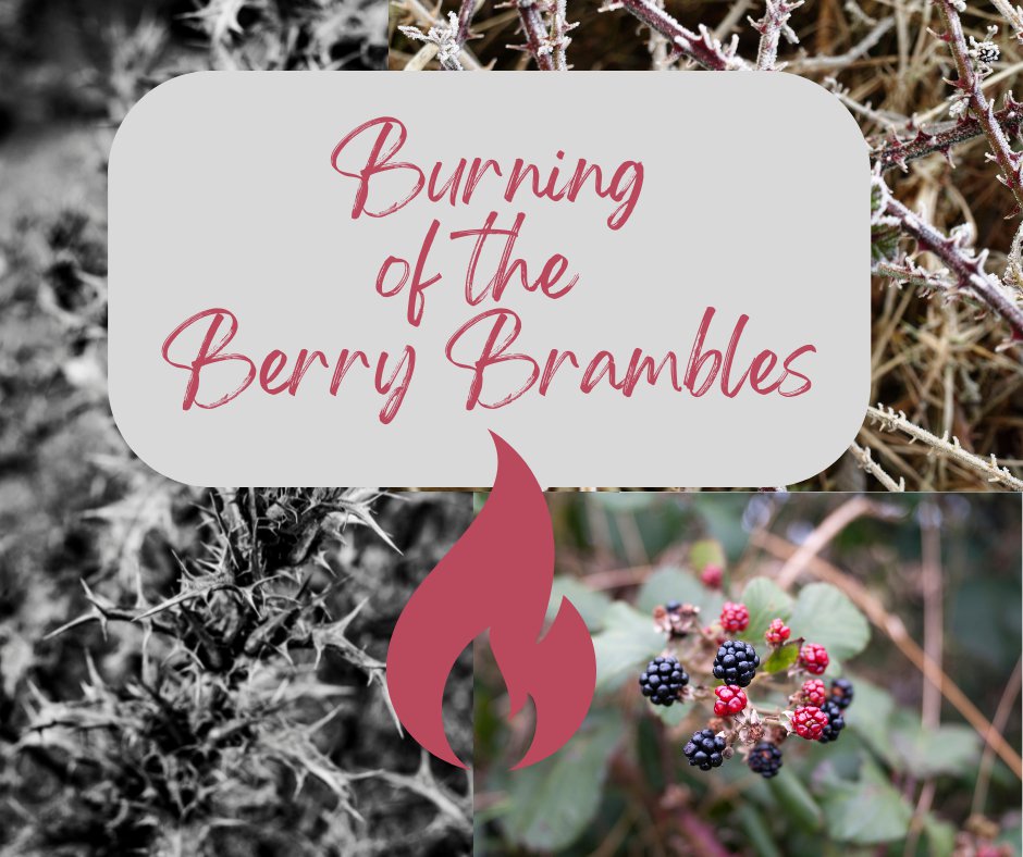 Burning of the Berry Brambles