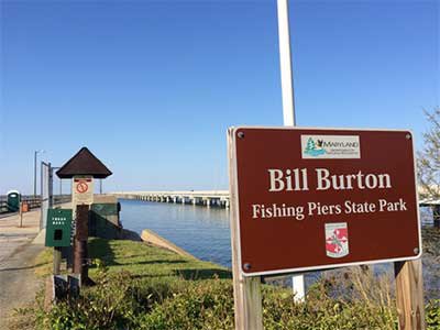 Update on Bill Burton Fishing Pier Closure What s Up Media