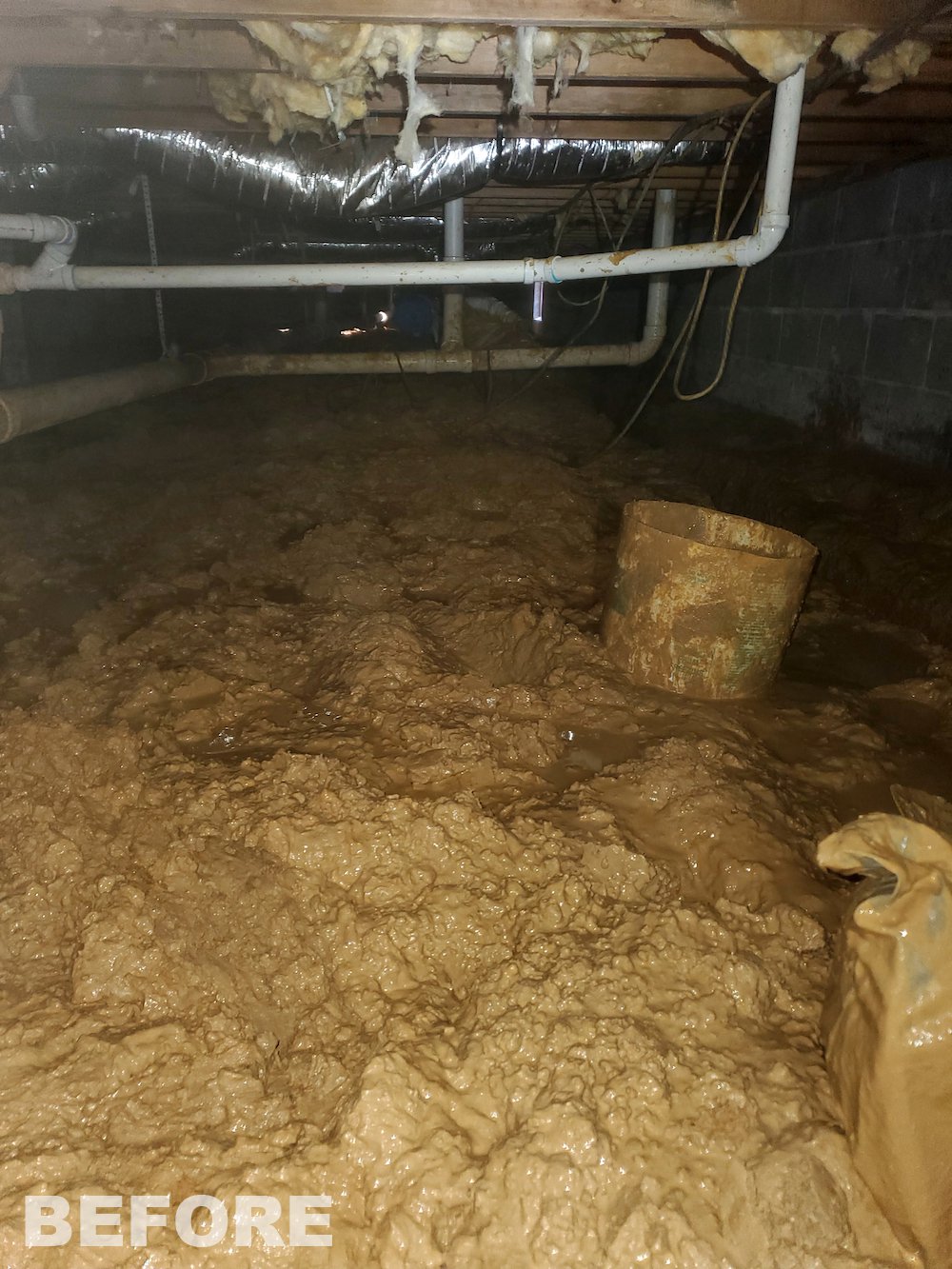 Is Your Home Affected by Mold from a Damp or Wet Crawl Space? - What's ...