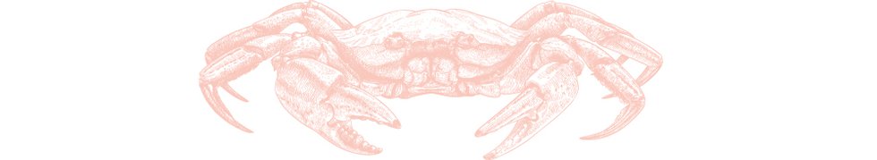 crabs4.jpg