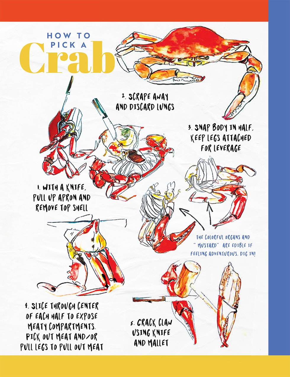 crabs25.jpg