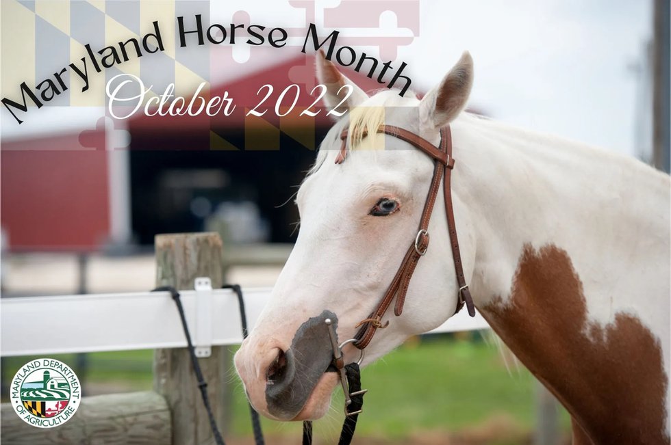 Maryland-Horse-Month-October-2022.jpg