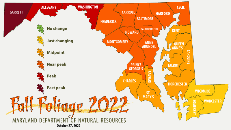 Fall-foliage-map-2022-Halloween.png
