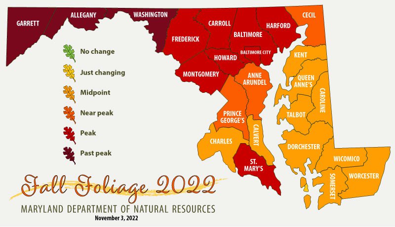 Maryland DNR s Fall Foliage Report for This Week What s Up Media