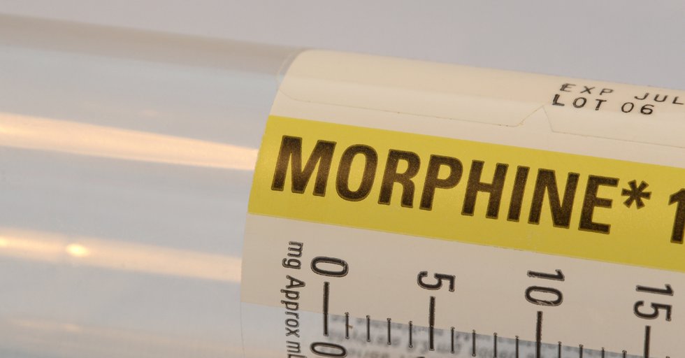 Morphine Myths Article 1 featured image - 1