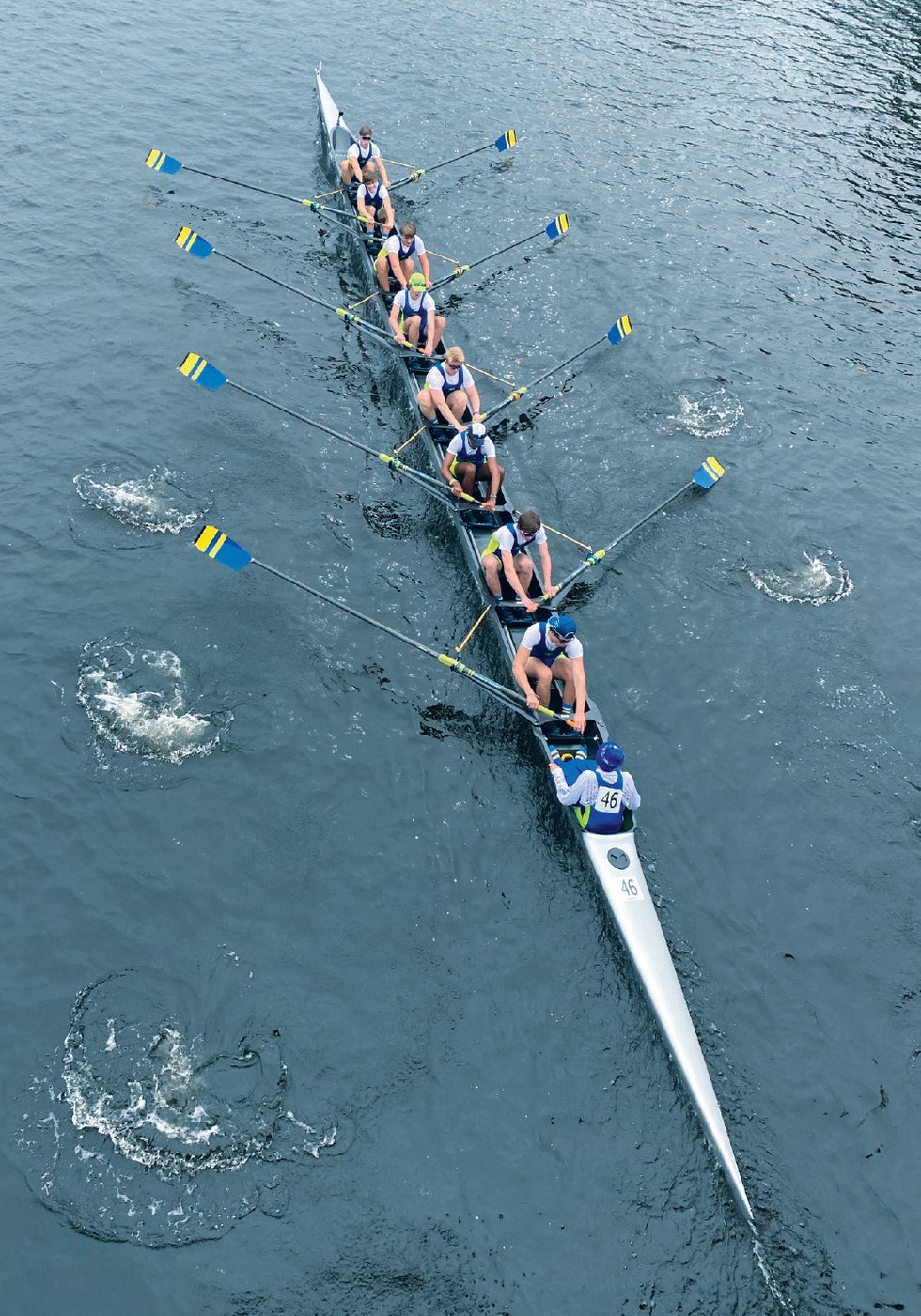 Rowing the Chesapeake What s Up Media