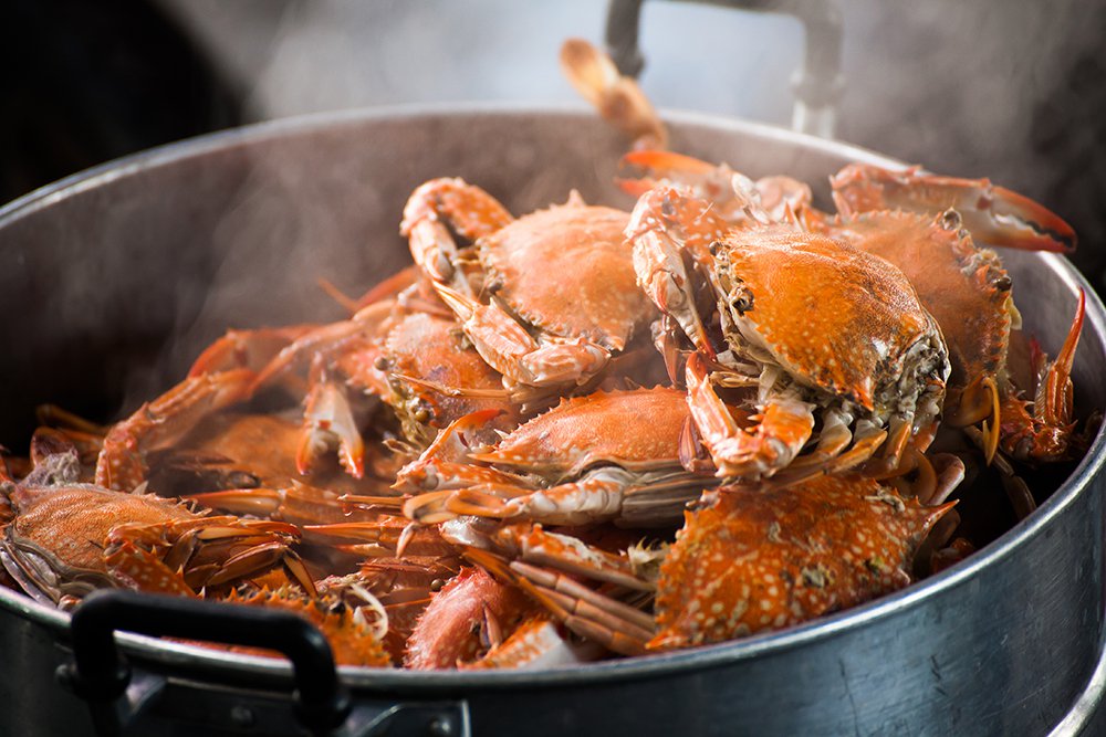 The 55th Annual Maryland Seafood Festival Returns to its Roots! What