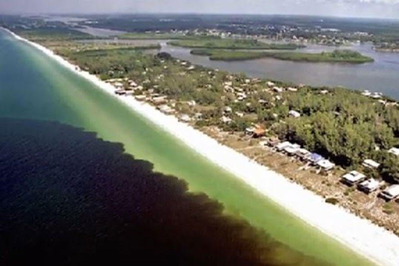 Florida red tide bloom in 2018 by Tracy Fanara, NOAA.jpg