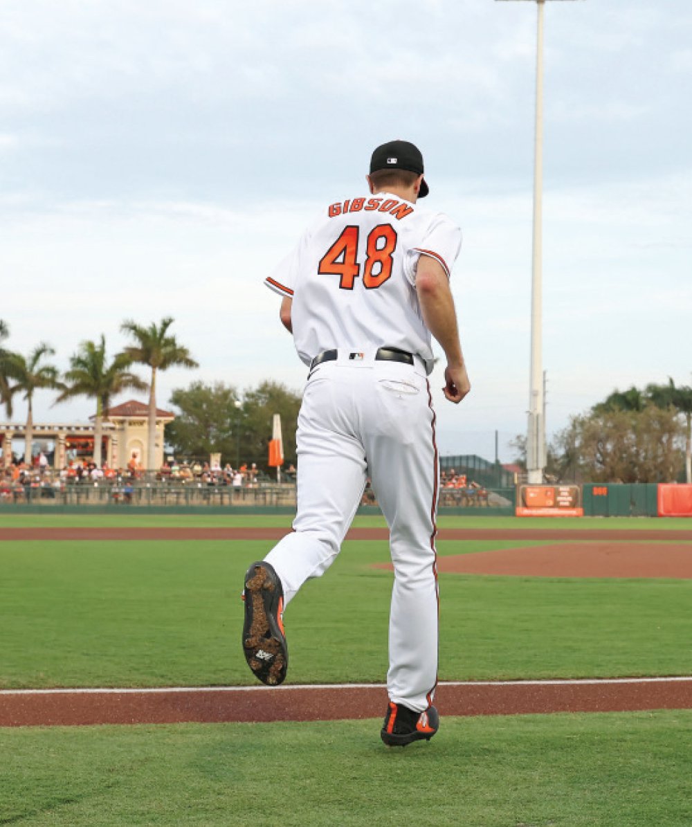 Baltimore Orioles: Cole's Bird of the Month for November - Cole's