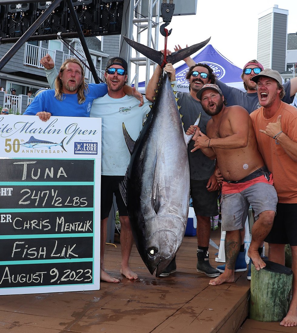 White Marlin Open Day 3 Recap - What's Up? Media