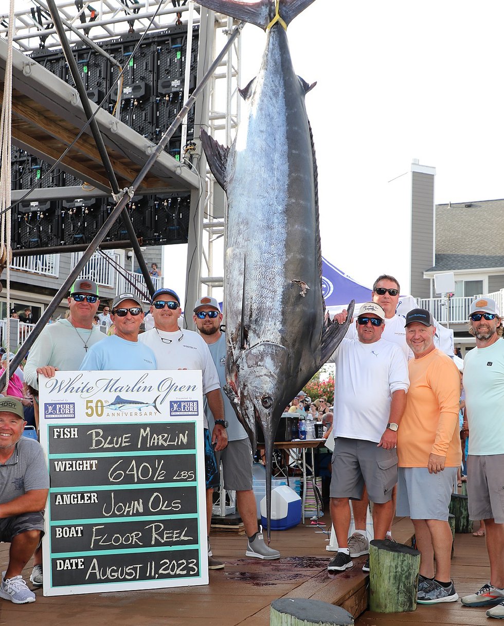 White Marlin Open Day 5 Recap What's Up? Media