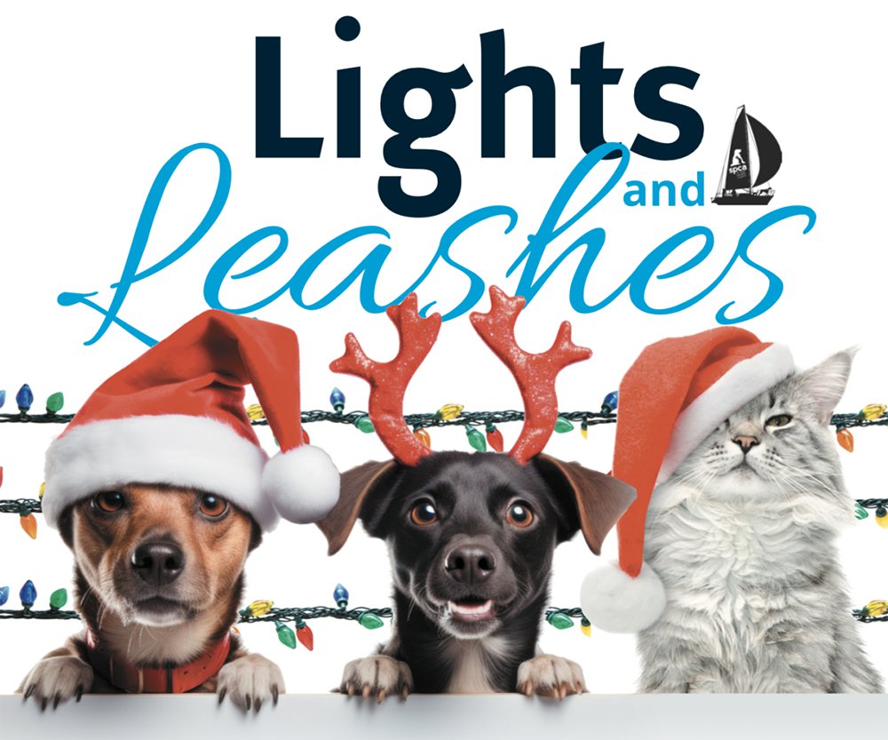 Lights & Leashes to Support SPCA Dates Announced What's Up? Media