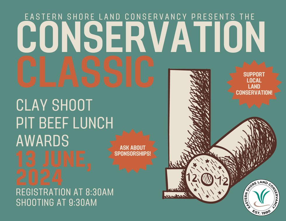 FY24 Conservation Classic (Postcard (US)) - 1