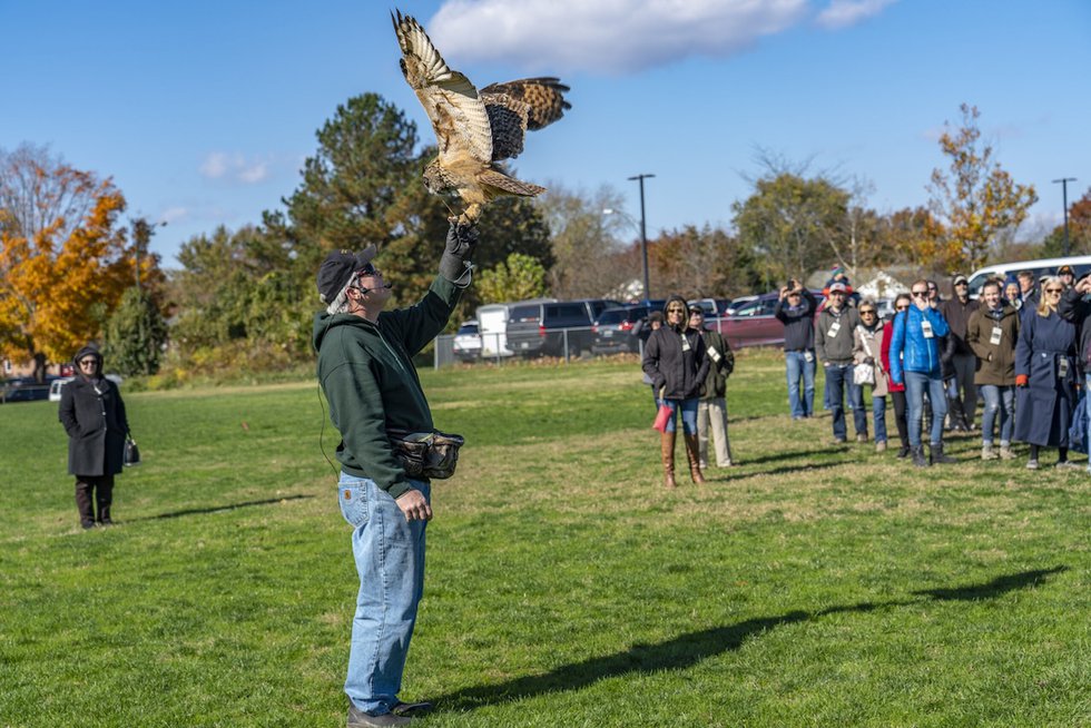 raptor shot.jpg