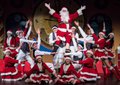 TMC Holiday Show 1 MB Updated.jpg