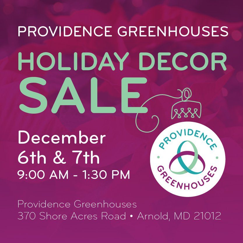 PROV-Event_Holiday Decor Sale_Outlet 4.jpg