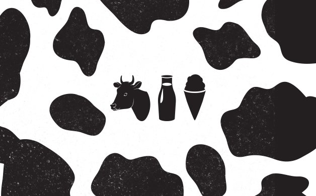 Cows.jpe